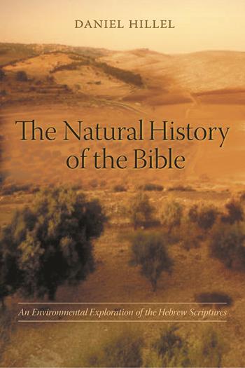 What is the origin of the Bible?